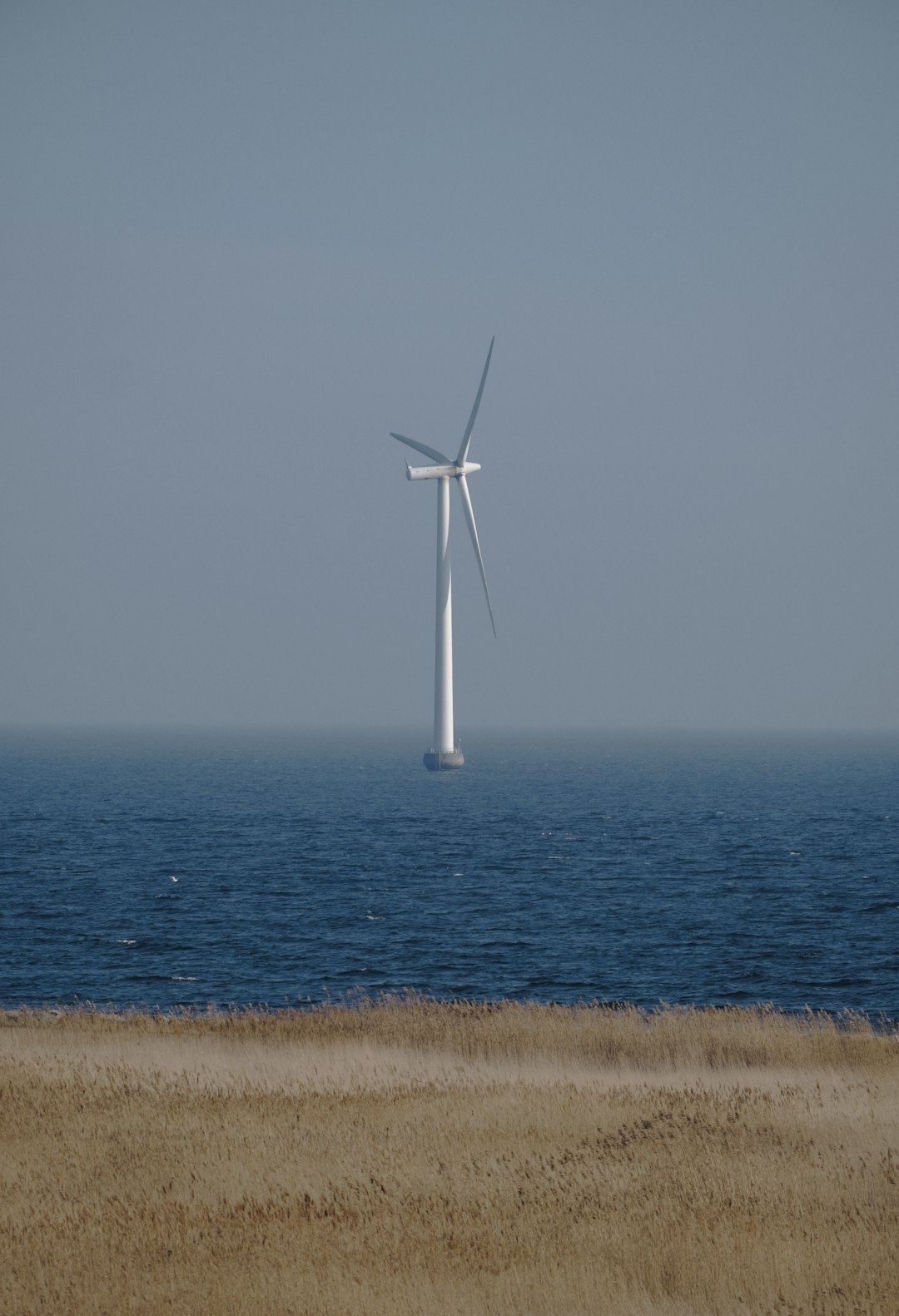 Green Hydrogen Production